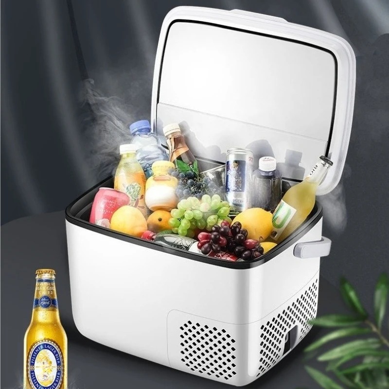 220V /12V /24V Car Refrigerato - Outdoor Furniture Zone 评论和价格