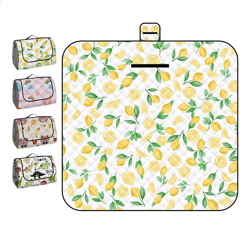 150*200CM Portable Picnic Mat  - Outdoor Rug Waterproof 评论和价格
