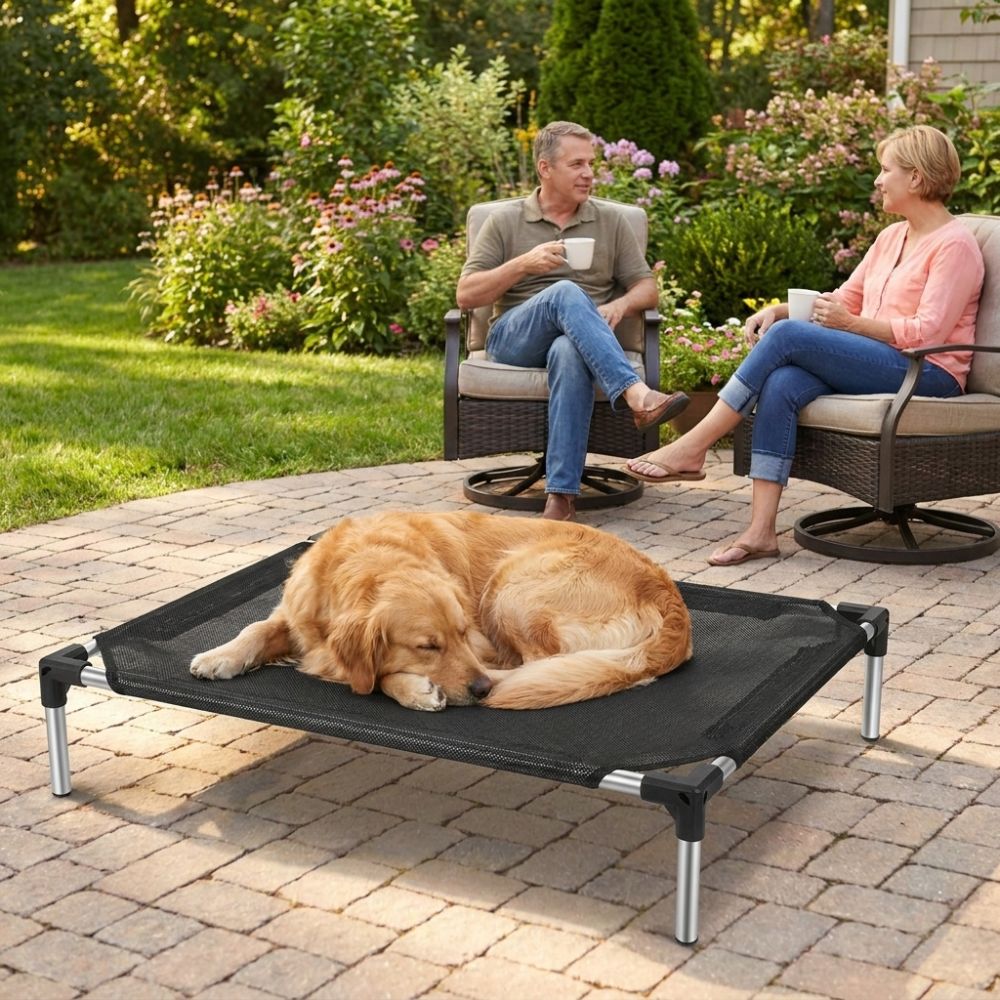 Breathable Mesh Elevated Dog B - Outdoor Rug Waterproof 评论和价格