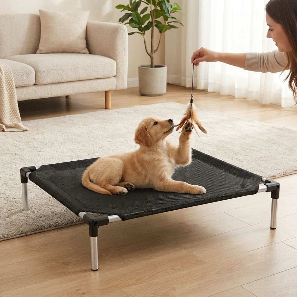 Breathable Mesh Elevated Dog B - Outdoor Rug Waterproof 评论和价格
