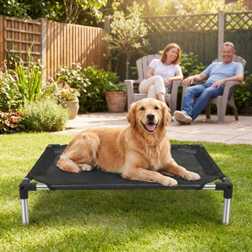 Breathable Mesh Elevated Dog B - Outdoor Rug Waterproof 评论和价格